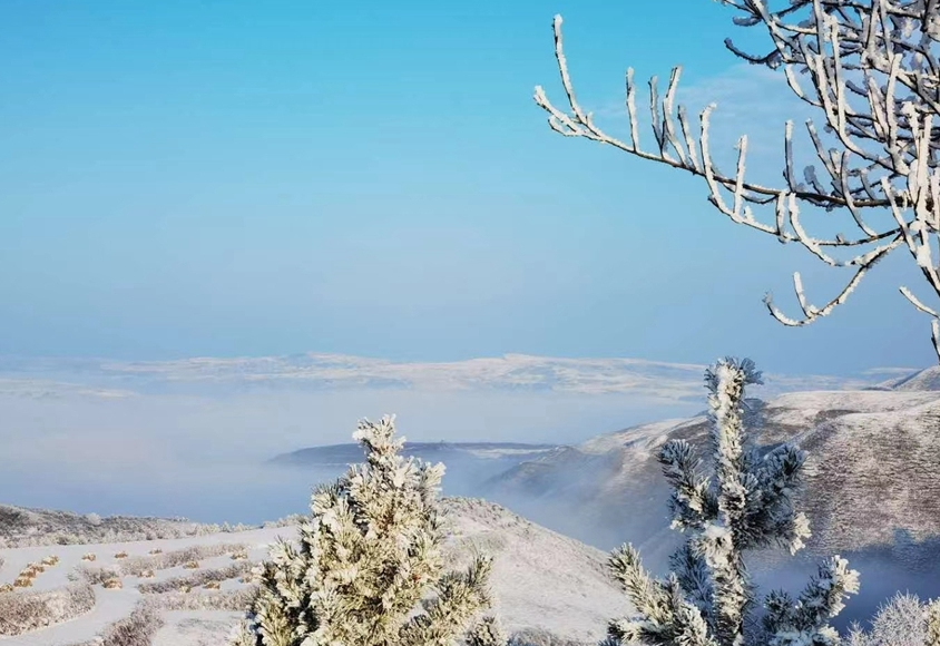 【大美凯发k8】凯发k8平凉：银装素裹赏雾凇