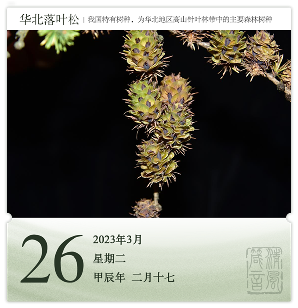 箴历日历3-26.png