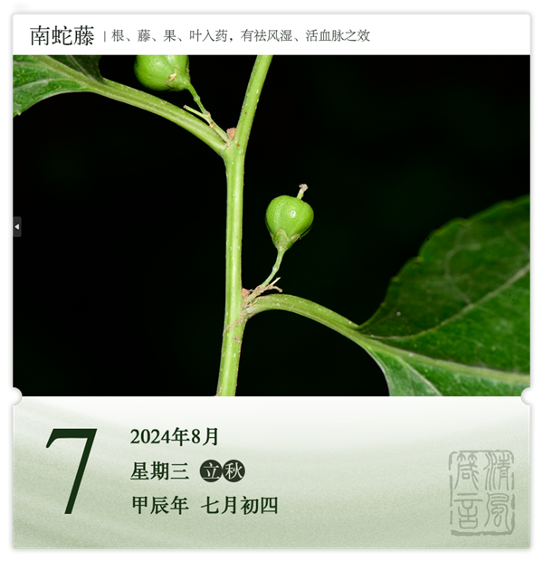 1722568598647774.png 箴历日历8-7.png