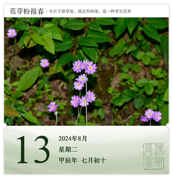 1722569723910195.png 箴历日历8-13.png