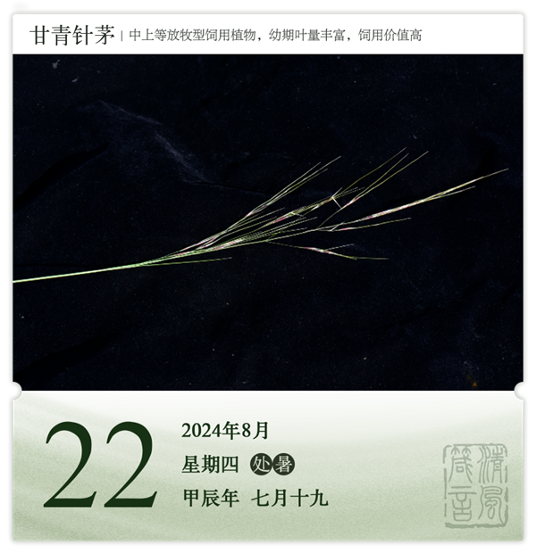 1722581837727100.png 箴历日历8-22.png