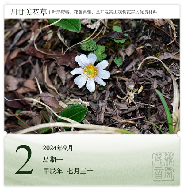 1725008130457165.png 箴历日历9-2.png
