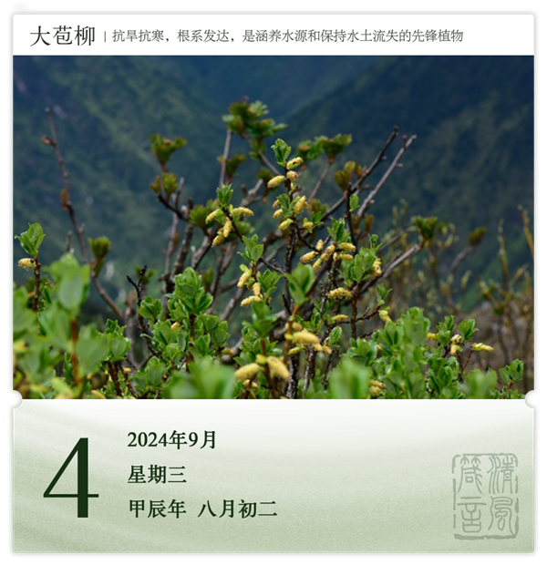 1725266755796320.png 箴历日历9-4.png