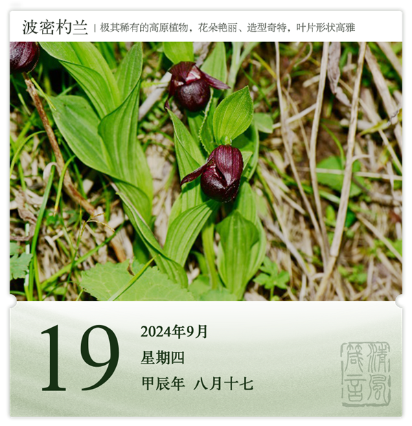 1726039528514123.png 箴历日历9-19.png