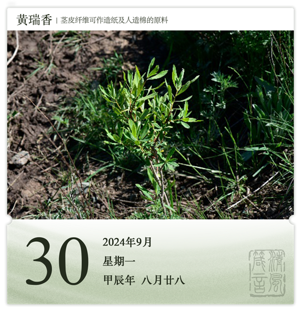 1726041269800490.png 箴历日历9-30.png