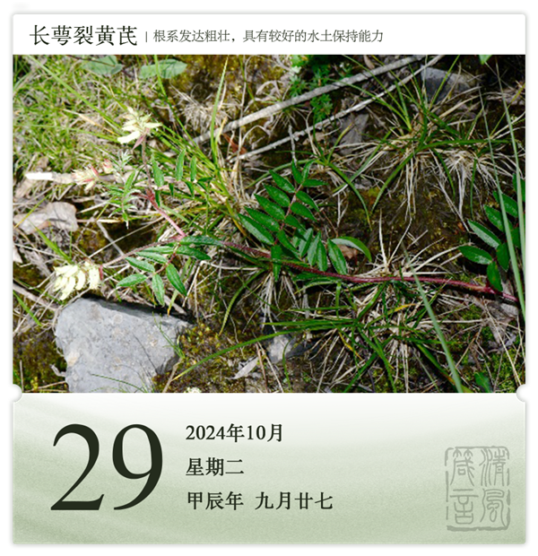 1730102925515875.png 箴历日历10-29.png