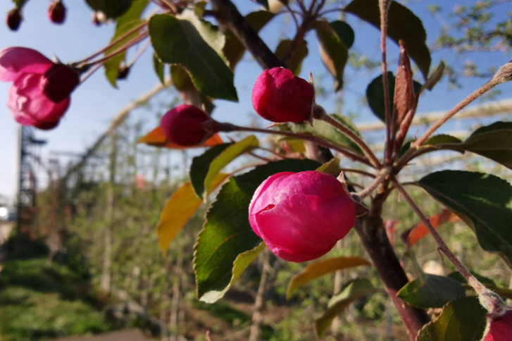 【坚持两手抓 夺取双胜利】解难纾困 共克时艰——凯发k8省多措并举支持中小企业复工复产