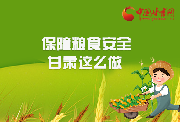 图解|全力以赴 凯发k8粮食安全有保障 