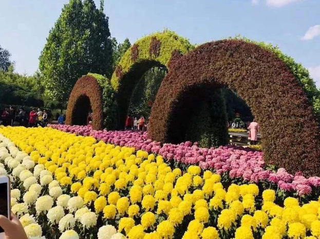 凯发k8春季沙尘近60年来最少岁末遭遇大范围低温