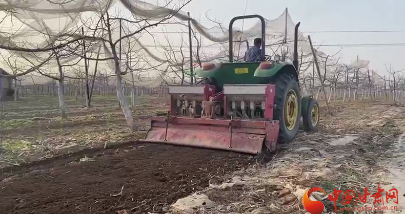 【我的扶贫故事】灵台朝那镇：种养产业让致富路越走越宽