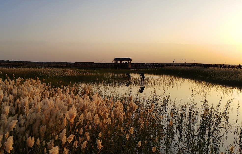 今居延海日出美景（图源：网络）